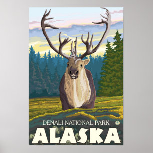 Caribou in the Wild - Denali National Park, Poster