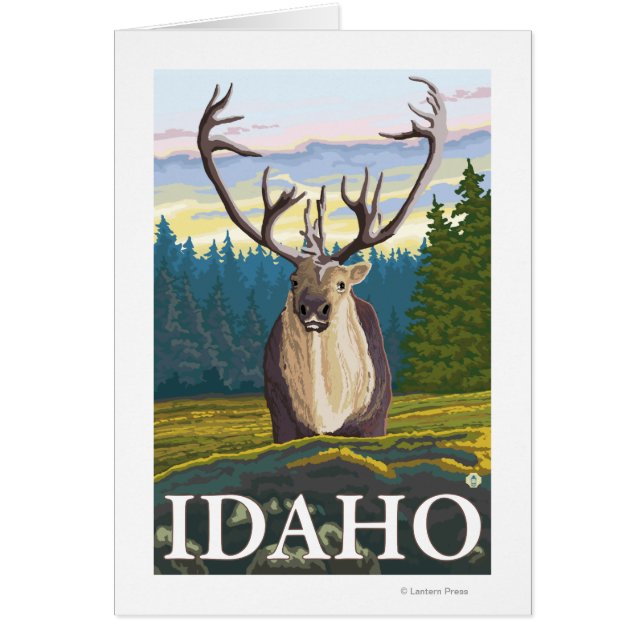 Caribou in the Wild - Idaho (Front)