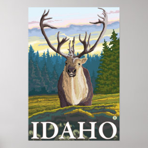 Caribou in the Wild - Idaho Poster