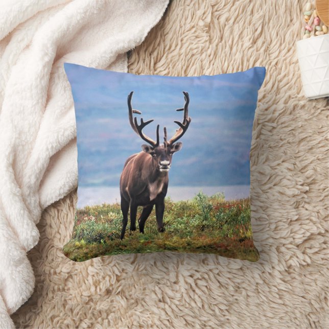 Caribou or Reindeer | Denali National Park, Alaska Cushion (Blanket)