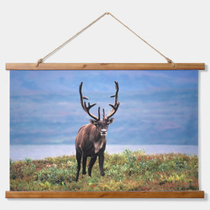 Caribou or Reindeer Denali National Park, Alaska Hanging Tapestry