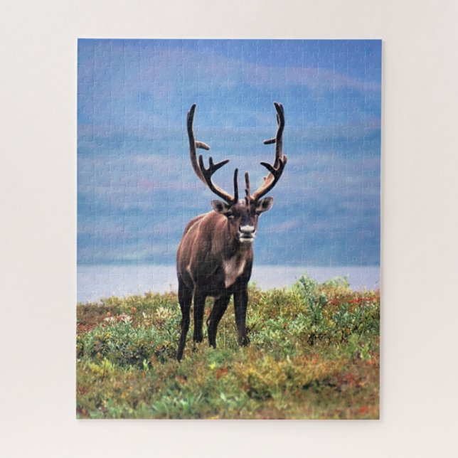 Caribou or Reindeer | Denali National Park, Alaska Jigsaw Puzzle (Vertical)