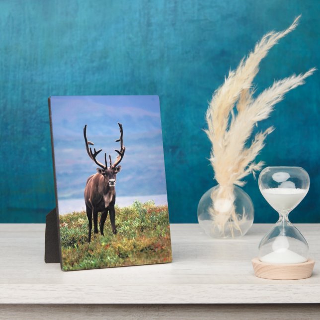 Caribou or Reindeer | Denali National Park, Alaska Plaque (Side)