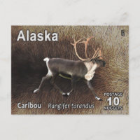 Caribou (Reindeer) - Alaska Postage