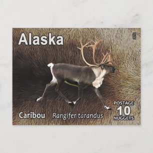 Caribou (Reindeer) - Alaska Postage Postcard