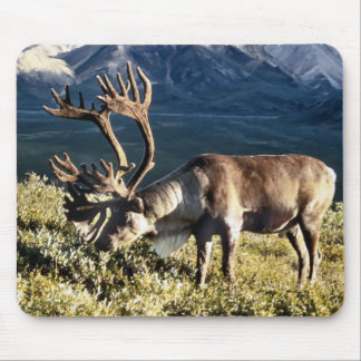 Caribou / Reindeer Lovers Mouse Pad