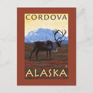 Caribou Scene - Cordova, Alaska Postcard