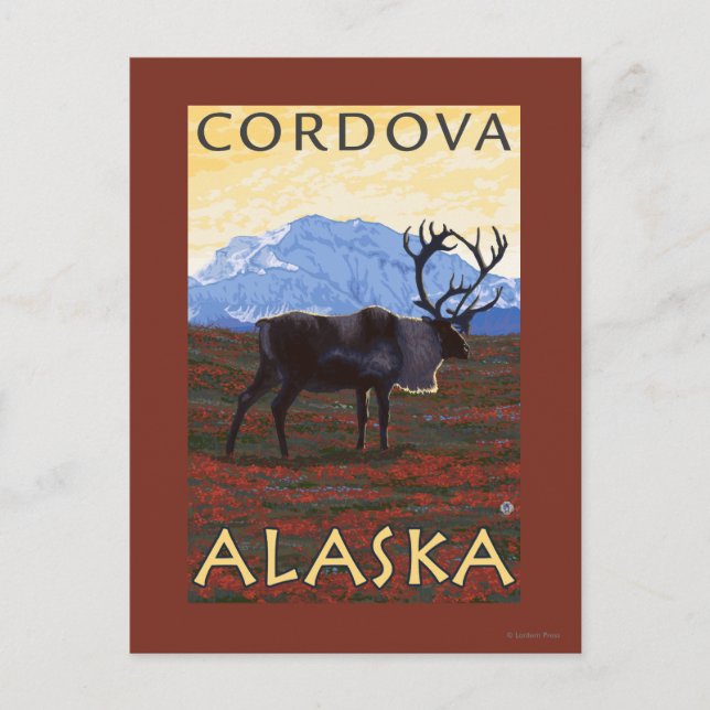 Caribou Scene - Cordova, Alaska Postcard (Front)