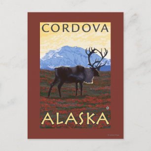 Caribou Scene - Cordova, Alaska Postcard