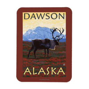Caribou Scene - Dawson, Alaska Magnet