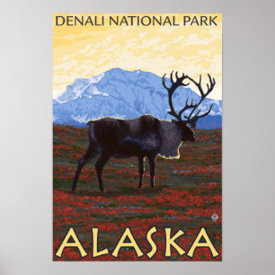 Caribou Scene - Denali National Park, Alaska Poster
