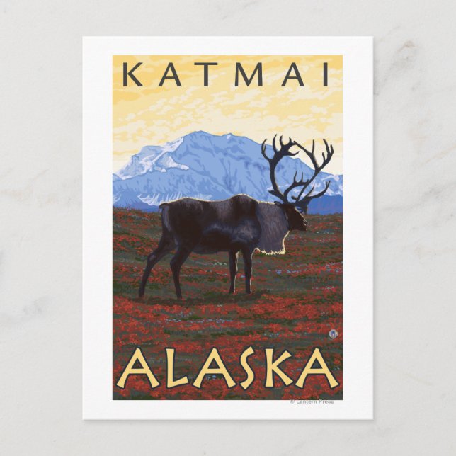 Caribou Scene - Katmai, Alaska Postcard (Front)