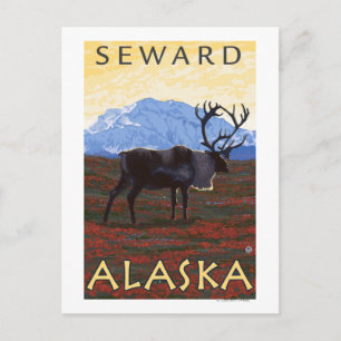 Caribou Scene - Seward, Alaska Postcard