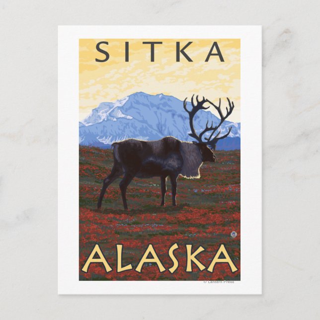 Caribou Scene - Sitka, Alaska Postcard (Front)