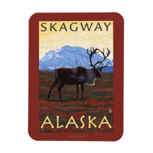 Caribou Scene - Skagway, Alaska Magnet