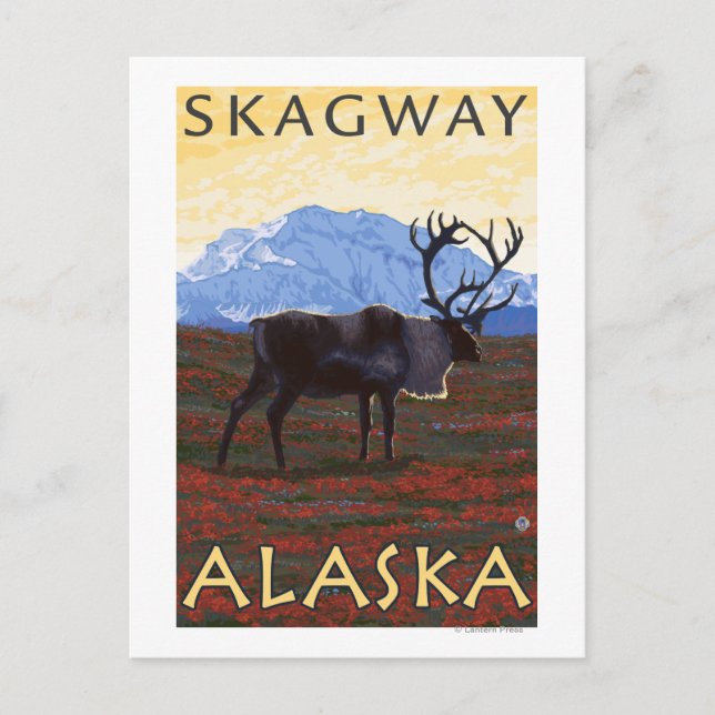 Caribou Scene - Skagway, Alaska Postcard (Front)