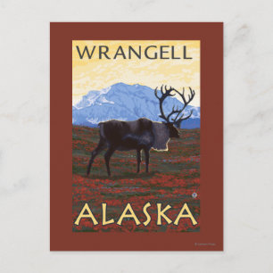 Caribou Scene - Wrangell, Alaska Postcard
