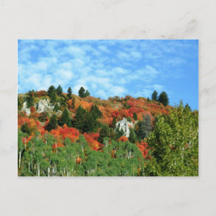 Caribou-Targhee National Forest Postcard