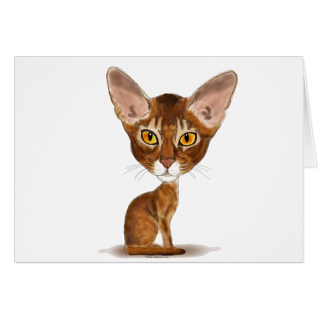 Caricature Abyssinian (Front Horizontal)
