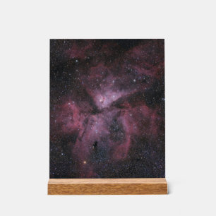Carina Nebula Acrylic Sign
