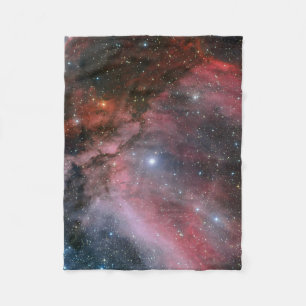 Carina Nebula around the Wolf–Rayet star WR 22 Fleece Blanket
