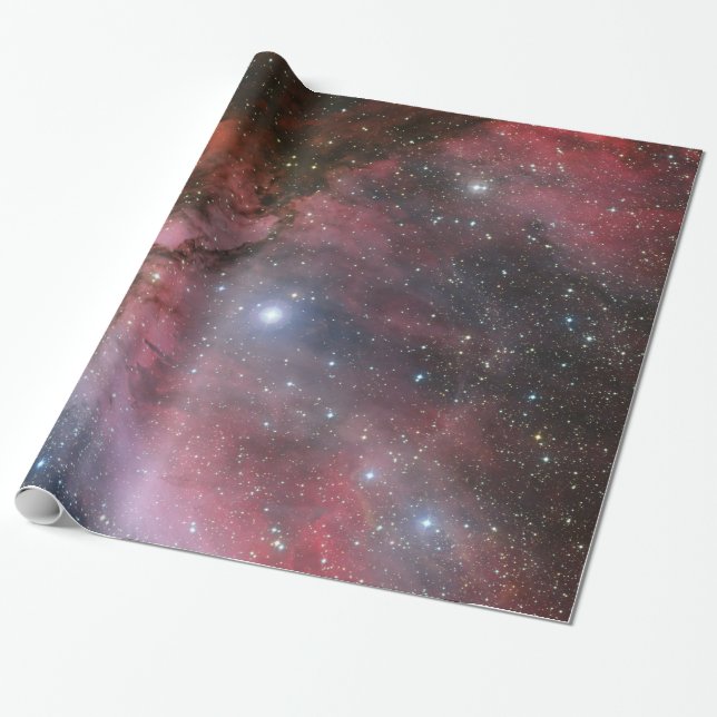 Carina Nebula, Wolf–Rayet star WR 22 Wrapping Paper (Unrolled)