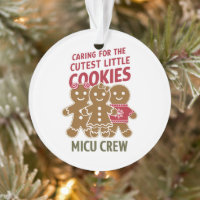 Caring For The Cutest Little Cookies Nicu Nurse
