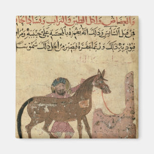 Caring for the horse, illustration magnet