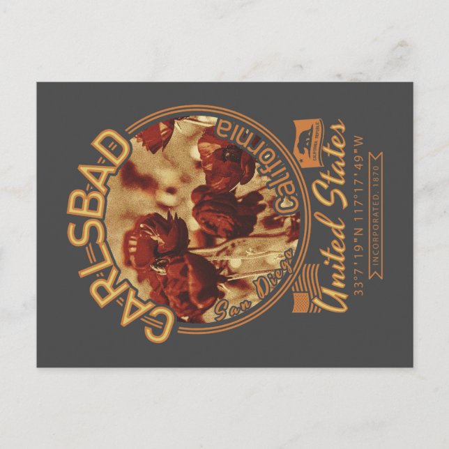 CARLSBAD CALIFORNIA - CARLSBAD FLOWER FIELDS POSTCARD (Front)