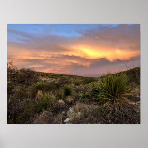 Carlsbad Caverns Desert Poster