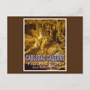 CARLSBAD CAVERNS NATIONAL PARK - NEW MEXICO POSTCARD