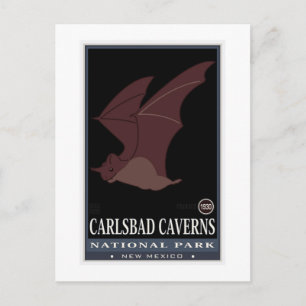 Carlsbad Caverns Postcard