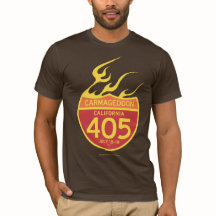 CARMAGEDDON 405 on fire