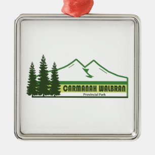 Carmanah Walbran Provincial Park Green Stripes Metal Ornament