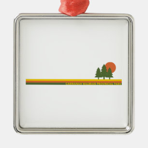 Carmanah Walbran Provincial Park Pine Trees Sun Metal Ornament
