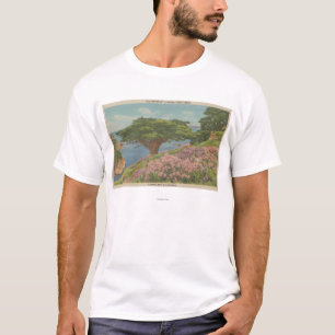 Carmel Bay, CA - View of "Old Veteran" Tree T-Shirt