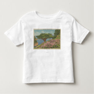 Carmel Bay, CA - View of "Old Veteran" Tree Toddler T-Shirt