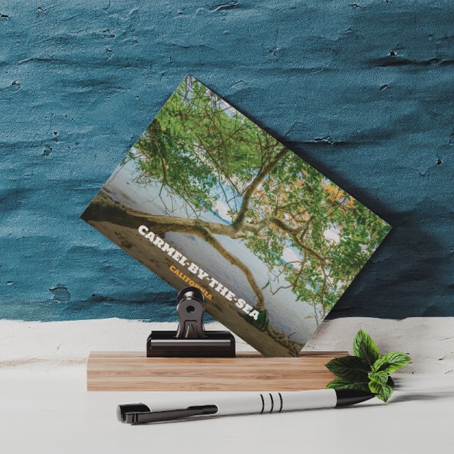 Carmel-by-the-Sea, Monterey County, California Postcard (Creator Uploaded)