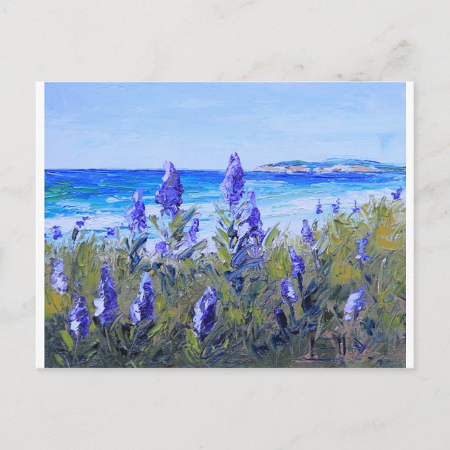 Carmel California, Beach, Lupins, Landscape Art Postcard (Front)