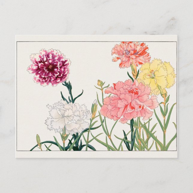 Carnation by Tanigami Konan Postcard (Front)