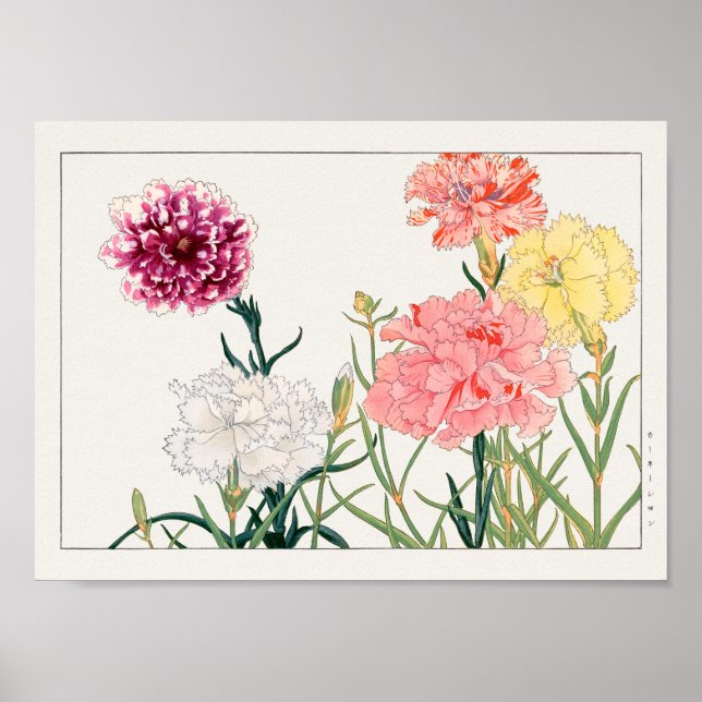 Carnation by Tanigami Konan Poster (Front)