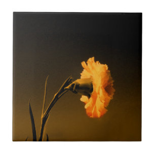 Carnation Ceramic Tile