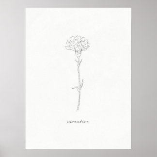 Carnation Flower Print 