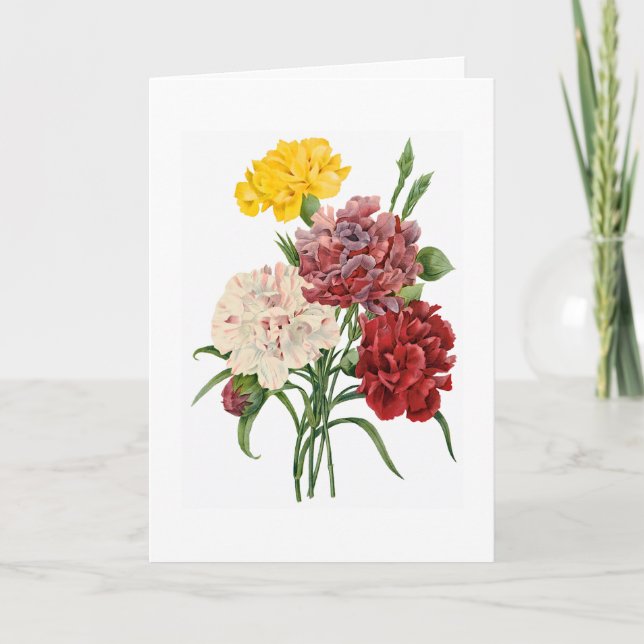 Carnation Get Well Soon Greeting Card (Front)