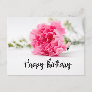 Carnation Happy Birthday in Pink   Holiday Postcard