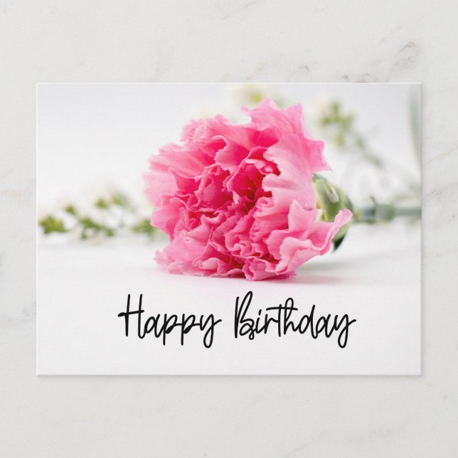 Carnation Happy Birthday in Pink   Holiday Postcard (Front)