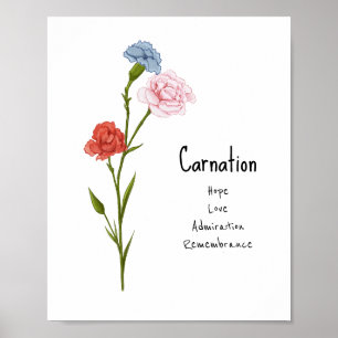 Carnation January Birth Flower Watercolor Art Poster