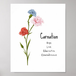 Carnation January Birth Flower Watercolor Art Poster