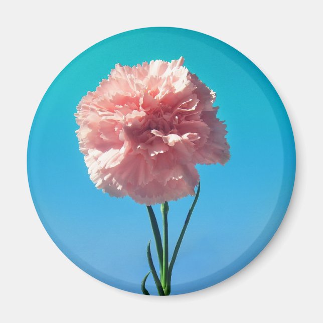 carnation magnet (Front)
