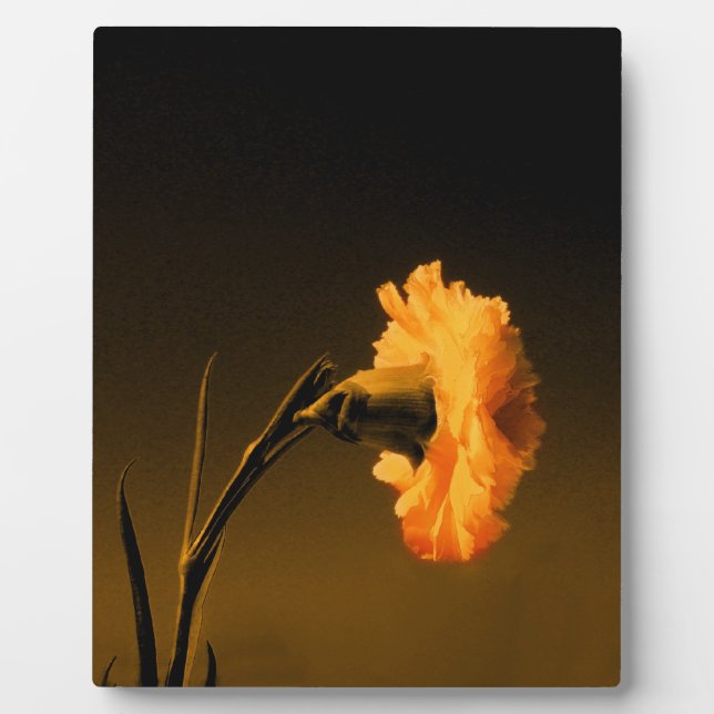 Carnation Plaque (Front)